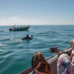 قایق سواری در قشم