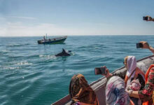 قایق سواری در قشم