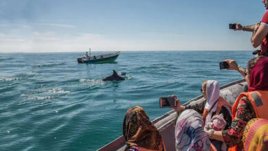 قایق سواری در قشم