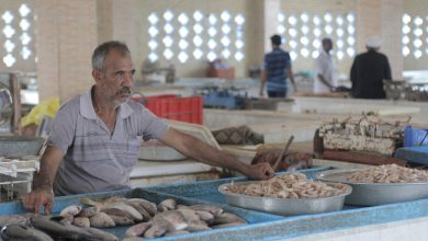 فراخوان عمومی عرضه کننده محصولات دریایی