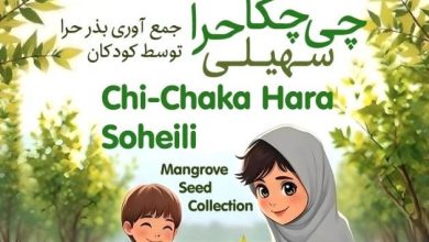 چی‌چکا حرا