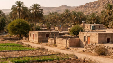 روستای-کانی